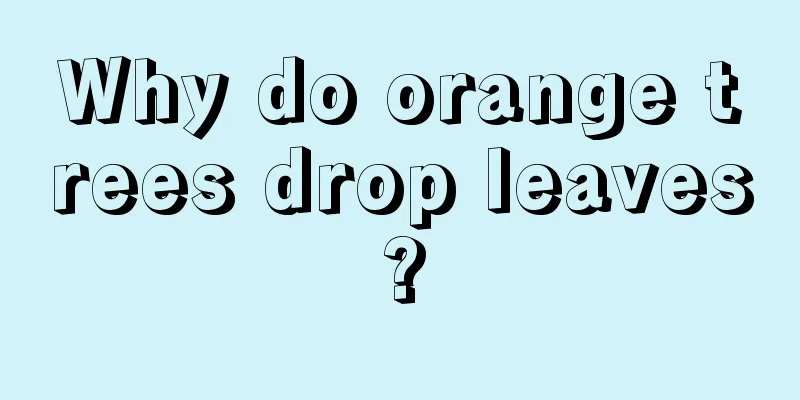 Why do orange trees drop leaves?