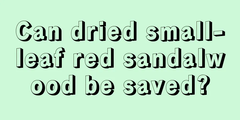 Can dried small-leaf red sandalwood be saved?