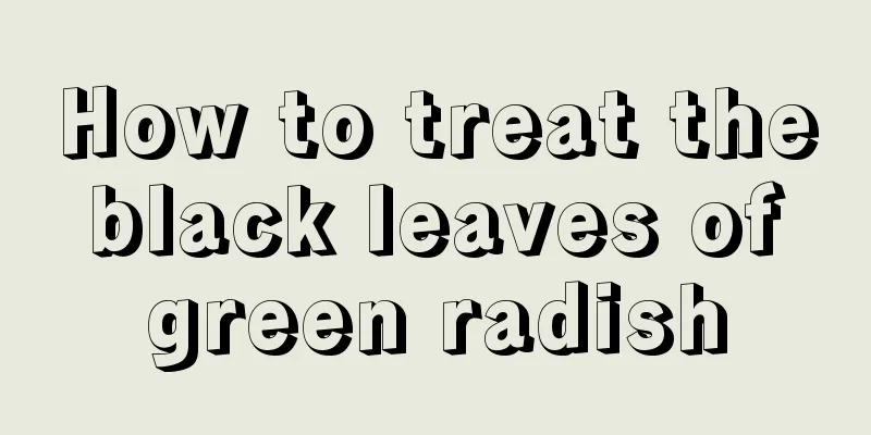 How to treat the black leaves of green radish