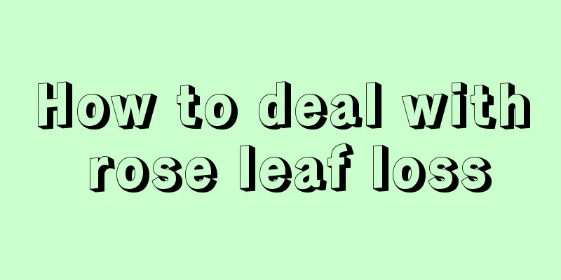 How to deal with rose leaf loss