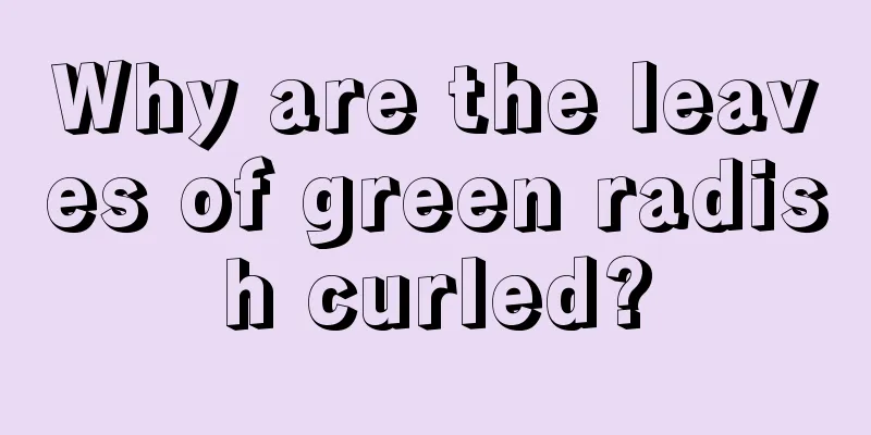 Why are the leaves of green radish curled?