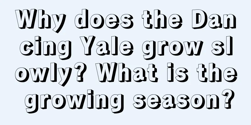 Why does the Dancing Yale grow slowly? What is the growing season?