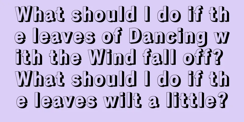 What should I do if the leaves of Dancing with the Wind fall off? What should I do if the leaves wilt a little?