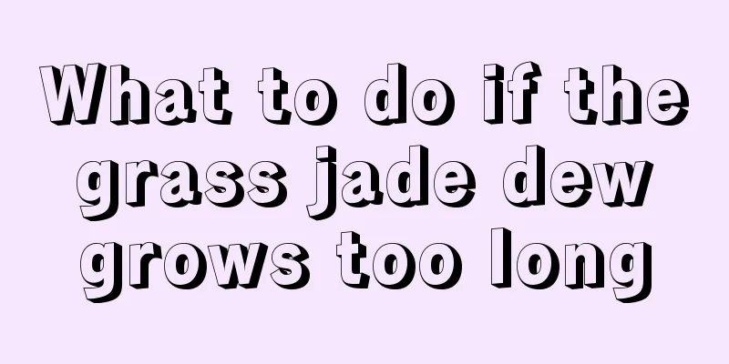 What to do if the grass jade dew grows too long