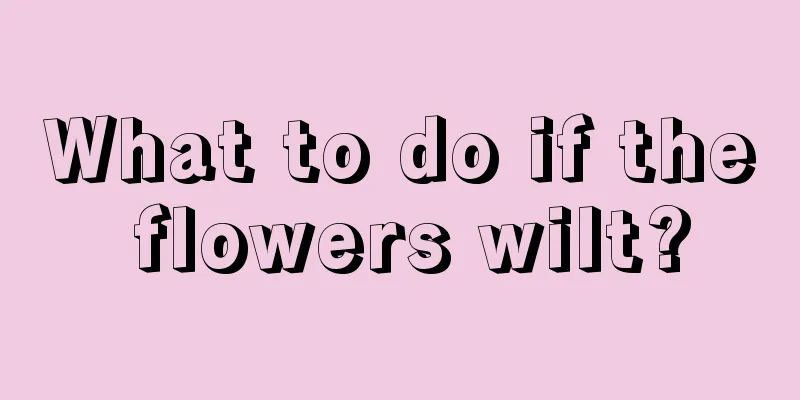 What to do if the flowers wilt?