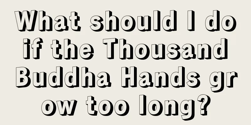 What should I do if the Thousand Buddha Hands grow too long?