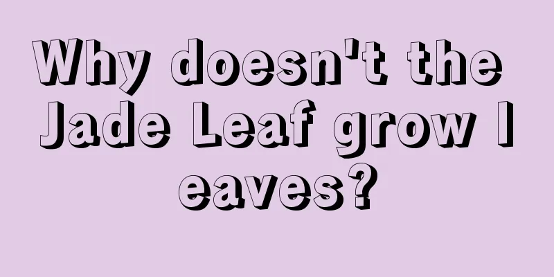 Why doesn't the Jade Leaf grow leaves?