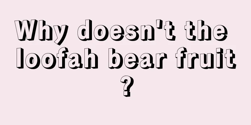 Why doesn't the loofah bear fruit?