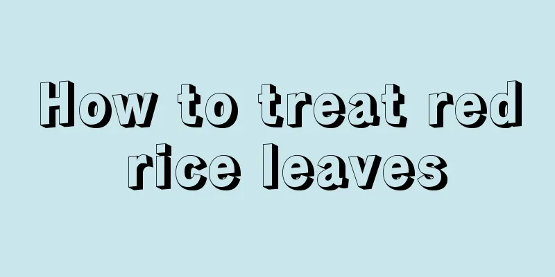 How to treat red rice leaves