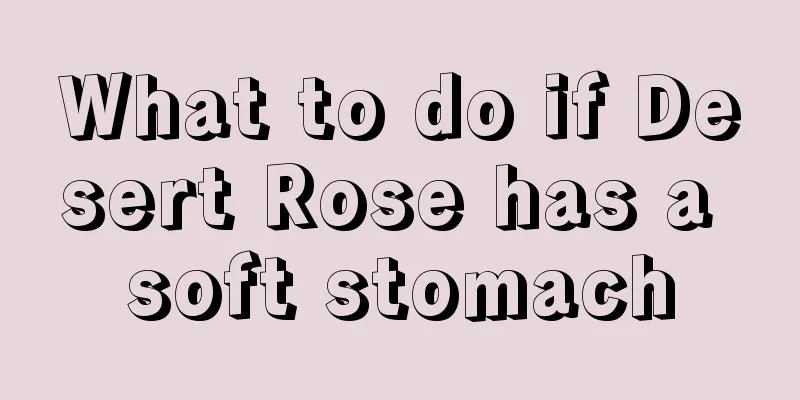 What to do if Desert Rose has a soft stomach