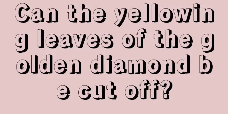 Can the yellowing leaves of the golden diamond be cut off?