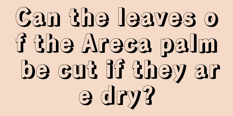 Can the leaves of the Areca palm be cut if they are dry?