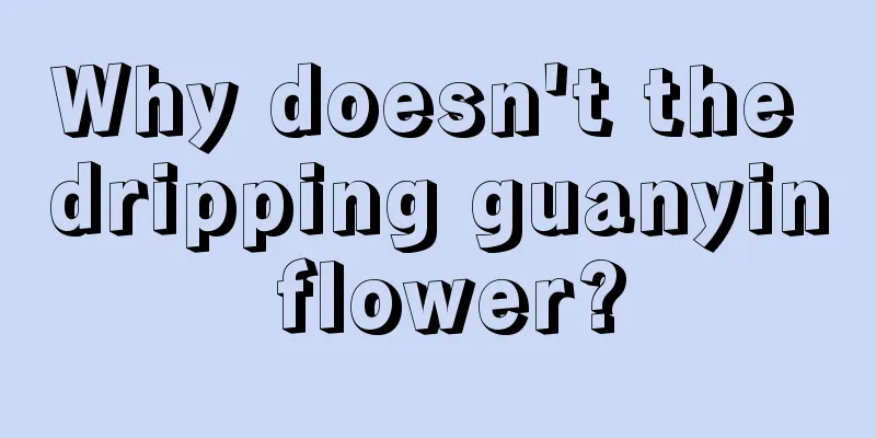 Why doesn't the dripping guanyin flower?