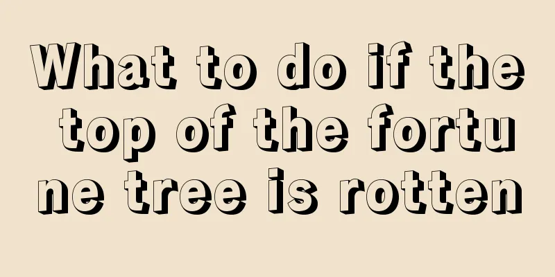 What to do if the top of the fortune tree is rotten