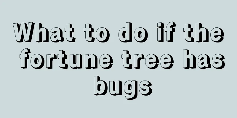 What to do if the fortune tree has bugs