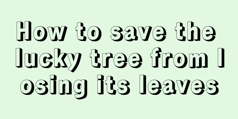 How to save the lucky tree from losing its leaves