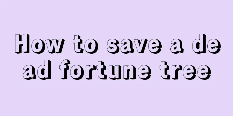 How to save a dead fortune tree