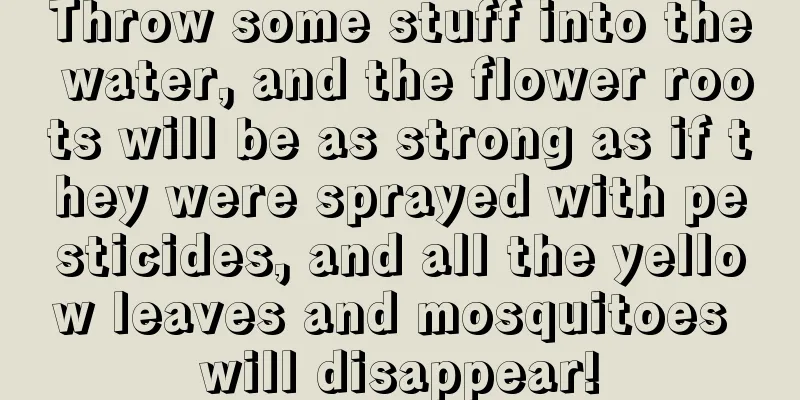 Throw some stuff into the water, and the flower roots will be as strong as if they were sprayed with pesticides, and all the yellow leaves and mosquitoes will disappear!