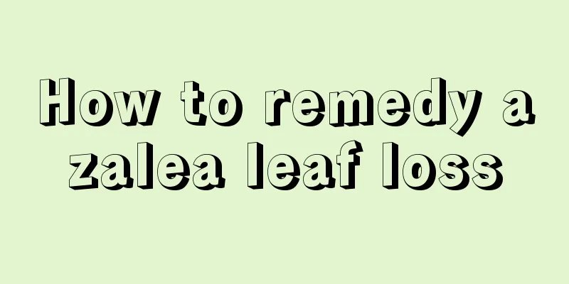 How to remedy azalea leaf loss