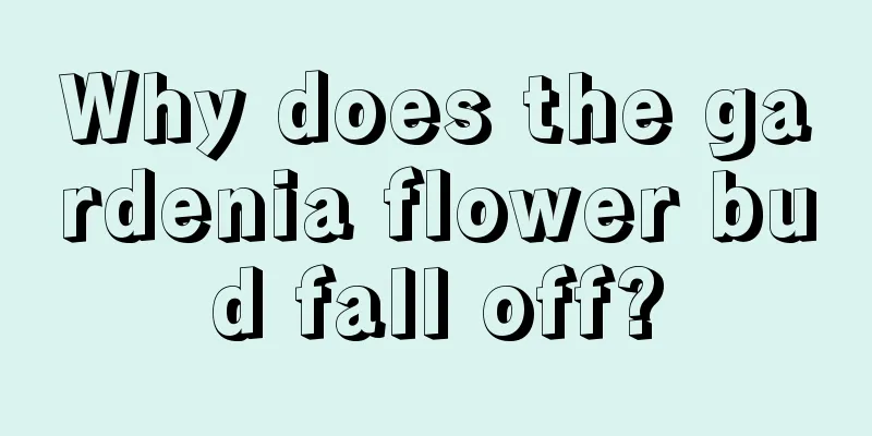 Why does the gardenia flower bud fall off?