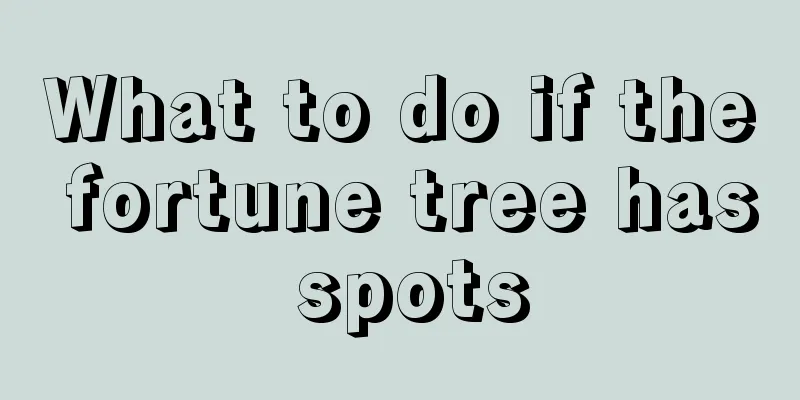 What to do if the fortune tree has spots