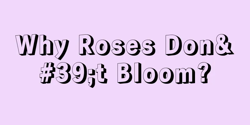 Why Roses Don't Bloom?