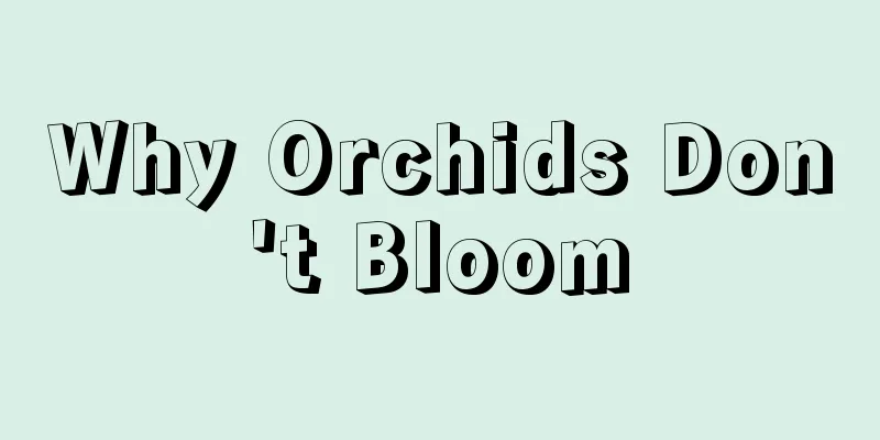 Why Orchids Don't Bloom