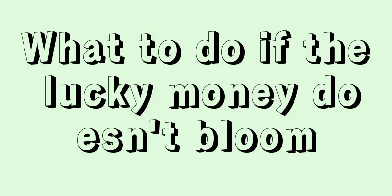 What to do if the lucky money doesn't bloom