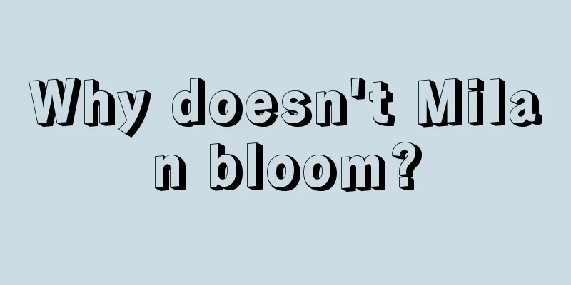 Why doesn't Milan bloom?