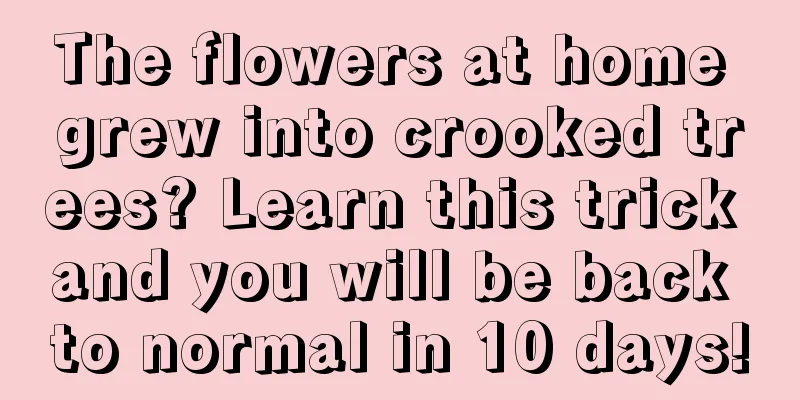 The flowers at home grew into crooked trees? Learn this trick and you will be back to normal in 10 days!