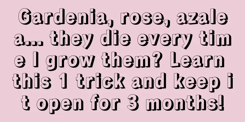 Gardenia, rose, azalea... they die every time I grow them? Learn this 1 trick and keep it open for 3 months!