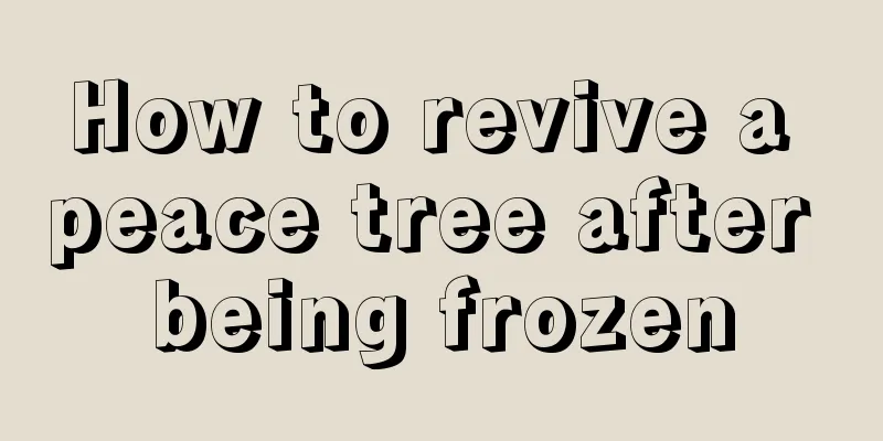 How to revive a peace tree after being frozen