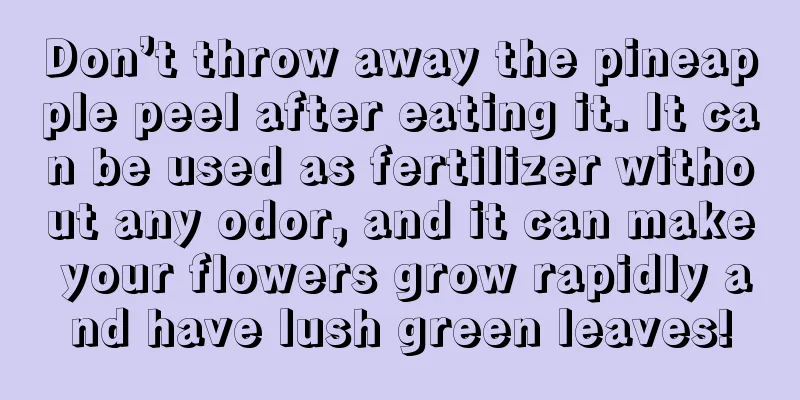 Don’t throw away the pineapple peel after eating it. It can be used as fertilizer without any odor, and it can make your flowers grow rapidly and have lush green leaves!