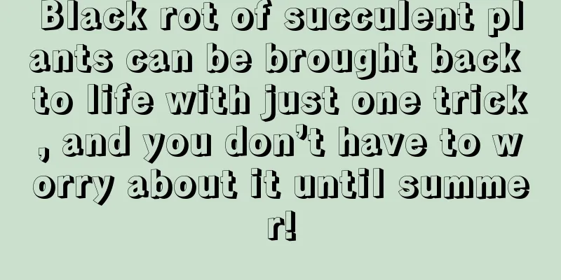 Black rot of succulent plants can be brought back to life with just one trick, and you don’t have to worry about it until summer!
