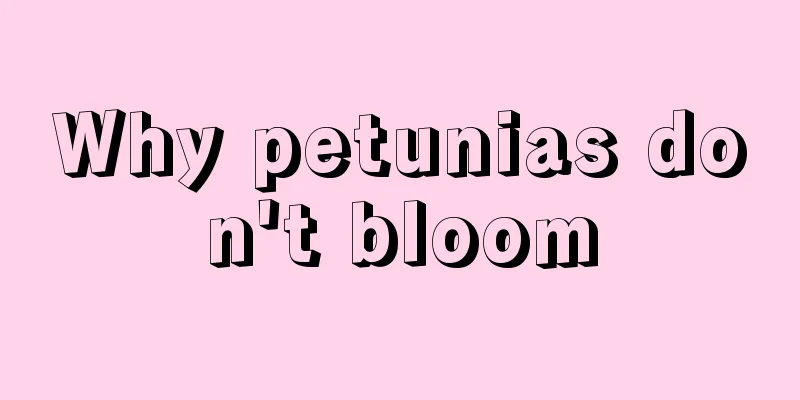 Why petunias don't bloom