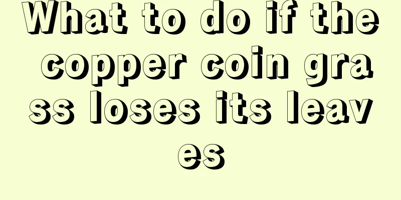 What to do if the copper coin grass loses its leaves