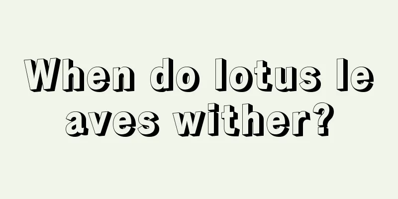 When do lotus leaves wither?