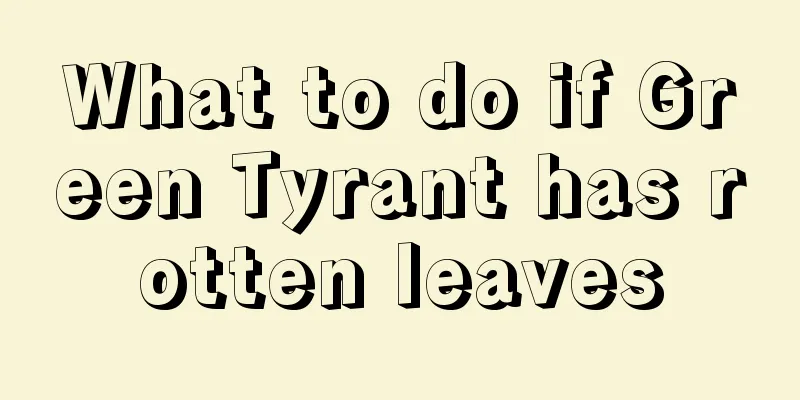 What to do if Green Tyrant has rotten leaves