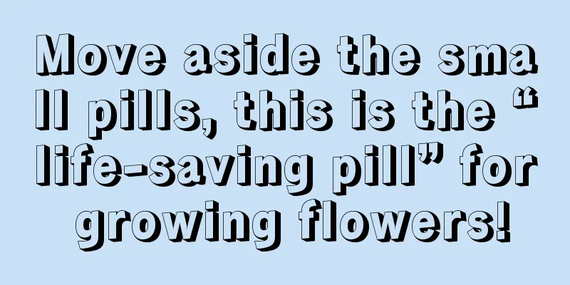 Move aside the small pills, this is the “life-saving pill” for growing flowers!