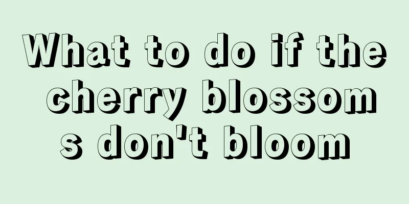 What to do if the cherry blossoms don't bloom