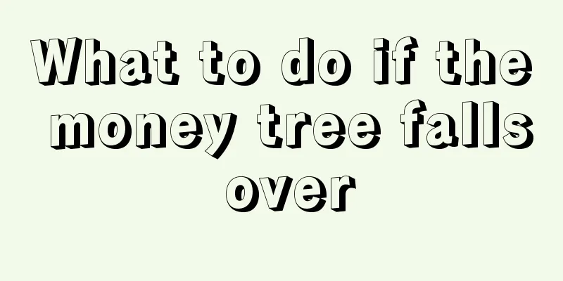 What to do if the money tree falls over