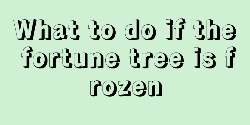 What to do if the fortune tree is frozen