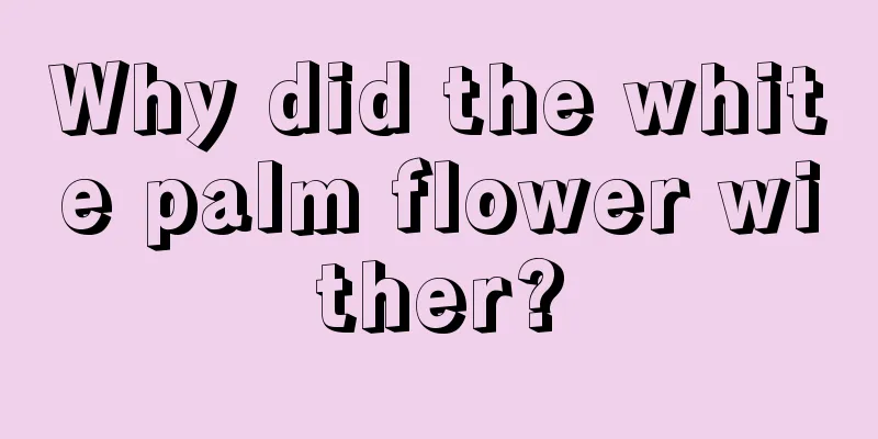 Why did the white palm flower wither?