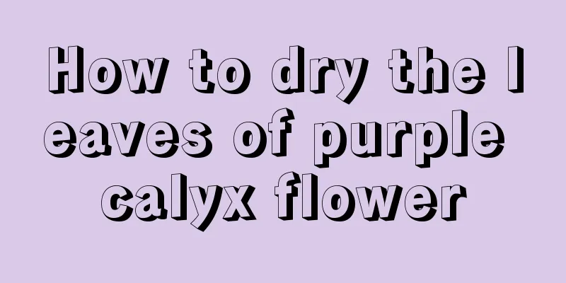 How to dry the leaves of purple calyx flower