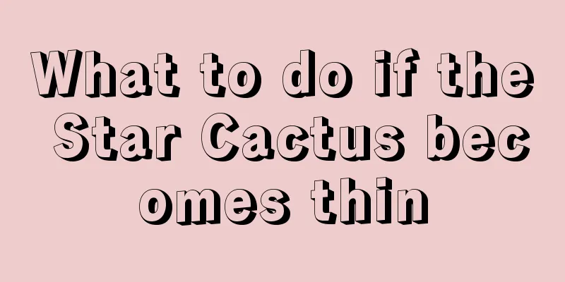 What to do if the Star Cactus becomes thin