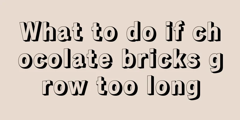 What to do if chocolate bricks grow too long