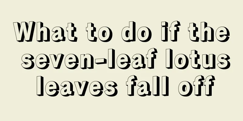 What to do if the seven-leaf lotus leaves fall off