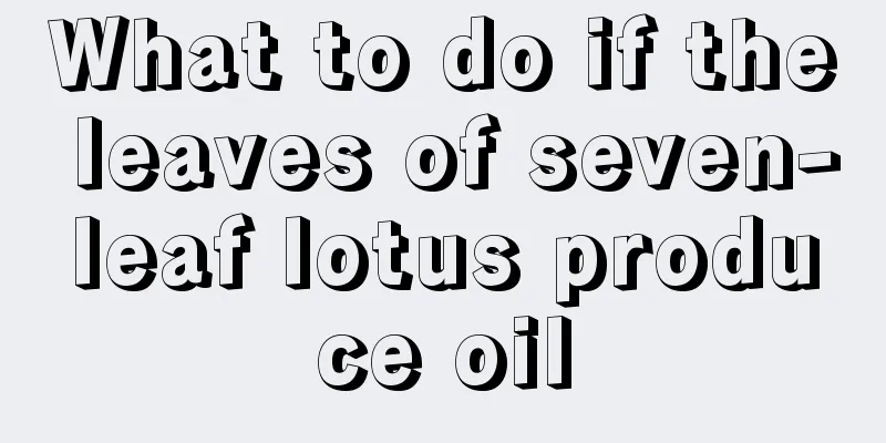 What to do if the leaves of seven-leaf lotus produce oil