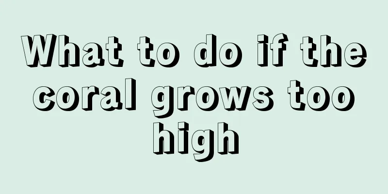 What to do if the coral grows too high