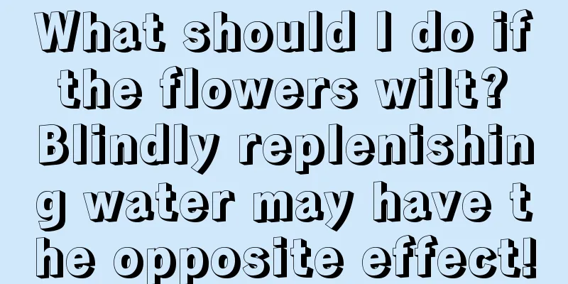 What should I do if the flowers wilt? Blindly replenishing water may have the opposite effect!